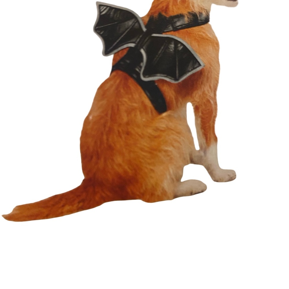 Black Bat Wing Dog - Picture 2 of 3